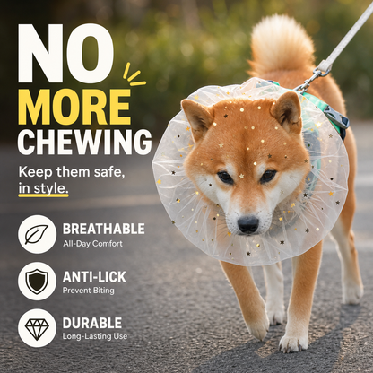 🐕🦺 Stop met schrokken! Deze ademende mesh snuitkap bedekt het hele gezicht – geen straatafval, dode insecten of stenen meer. Verstelbaar & licht.