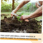 🌱NU 50% KORTING! Handmatige voegenkrabber voor onkruid en mos
