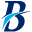 binlonk logo