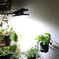 💡✨ Van donkere oprit naar veilig verlicht pad – deze solar lamp met 3 modi en bewegingssensor gaat automatisch aan. Geen kabels, geen stroom, geen zorgen. 50% KORTING!
