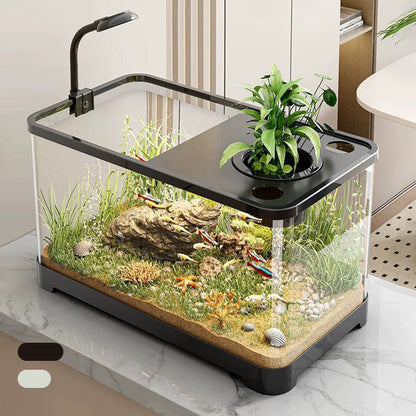 Klein aquarium voor thuis
