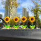 🌻✨ 50% KORTING! Stop met het rijden in een doffe, saaie auto! Deze eeuwig bloeiende zonnebloem fleurt je dashboard op in 1 seconde – het perfecte cadeau voor jezelf of een vriend.