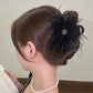 Creatief cadeau - Haarclip met veren en mesh, pluche