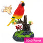 🎶✨ 50% KORTING! Stop met saaie decoratie! Dé spraakgestuurde zangvogel tjilpt en beweegt zodra hij geluid hoort – brengt de natuur tot leven op je bureau of boekenplank!