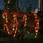 Kerstmis Outdoor Solar Candy Cane Lights