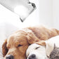 ✂️💡 50% KORTING! LED-licht zo fel dat je élke klit ziet aankomen! Deze stille trimmer scheert je hond of kat zonder dat ze doorhebben dat ze naar de kapper zijn geweest – geen paniek, geen verzet, alleen een gladde vacht!