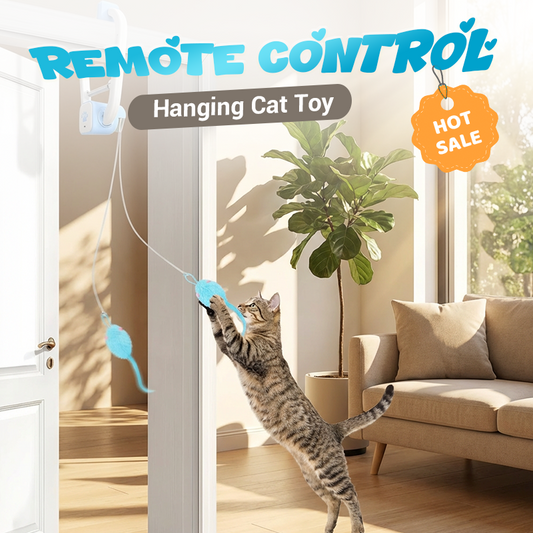 Interactief hangend kattenspeeltje met afstandsbediening