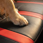🚗👑 50% KORTING! Zwart, beige of grijs – deze universele kunstleren autostoelhoezen zitten als gegoten, zijn antislip, en maken van elke oude auto een luxe bolide. Makkelijk te monteren, makkelijker schoon te maken.