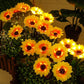 🌻50% KORTING! ☀️ Waterdichte zonne-energie lampen🎁🌻