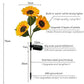 🌻50% KORTING! ☀️ Waterdichte zonne-energie lampen🎁🌻