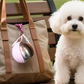 🐾💥 50% KORTING! Stop met het zoeken naar een plas water voor je hijgende hond! Deze opvouwbare RVS drinkfles klik je aan je tas, vouwt uit, en je huisdier drinkt altijd fris – geen gedoe, geen lekken.
