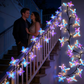 🥳HETE UITVERKOOP 2026🥳💞Meer dan 50.000 verkocht!🌿Romantische vlinder-LED-verlichting