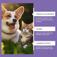 Milde oogspoeling voor honden en katten