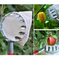 🍎 Pluk appels en peren zonder ladder! Deze fruitplukker met opvangmand vangt alles op — telescopische steel tot 4 m. Geen gekneusd fruit meer op de grond!