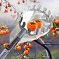 🍎 Pluk appels en peren zonder ladder! Deze fruitplukker met opvangmand vangt alles op — telescopische steel tot 4 m. Geen gekneusd fruit meer op de grond!