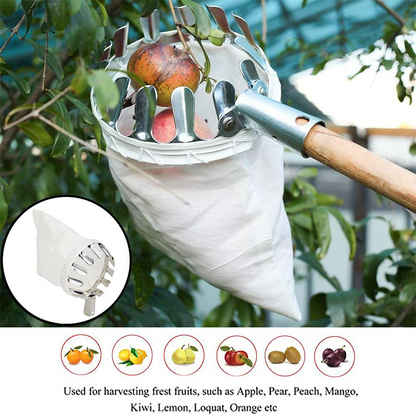 🍎 Pluk appels en peren zonder ladder! Deze fruitplukker met opvangmand vangt alles op — telescopische steel tot 4 m. Geen gekneusd fruit meer op de grond!