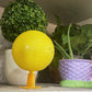 🦟✨ 50% KORTING! Nooit meer fruitvliegjes in huis! Deze kleverige bal met LED-licht lokt en vangt ze dag én nacht – giftvrij, veilig voor kinderen en huisdieren. Wegwerp, klaar!