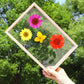 🎨💐 50% KORTING! Nooit meer saaie boekenleggers! Deze complete DIY-set met transparante & kraft bases, linten en kwastjes maakt van elk boek een botanisch kunstwerk – in 4 stappen!