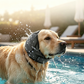 🐾🐶【Aanbieding】🏊‍♂️Honden Oorkap tegen Angst & Water | Neopreen | Dempend🔇💧