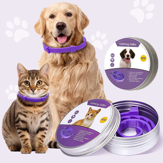 🐱🐶 50% KORTING! Alsof je een onzichtbare insectenmoordenaar om de nek van je huisdier hebt! Deze verstelbare anti-insectenband jaagt vlooien, teken en muggen op de vlucht – zonder gif, zonder geur, en zonder dat je kat of hond er last van heeft.