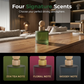 🍵💎 50% KORTING! Stop met het ophangen van chemische geurboompjes! Deze frosted glass autoparfum met natuurlijke houten bal absorbeert de olie en verspreidt subtiele, continue luxe geur – zen op wielen.