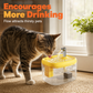 💧🐱 50% KORTING! Alsof je een mini-waterval met een butler hebt die je kat verleidt om meer te drinken! Voedselveilig, stil, transparant, en je checkt het water zonder op te staan.