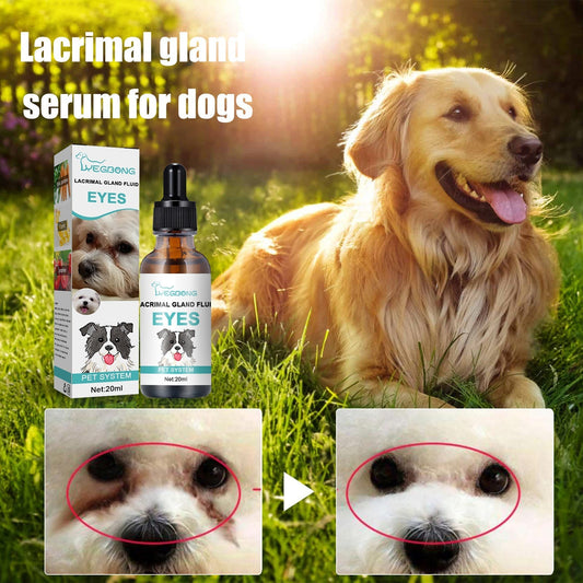 🐾💧 50% KORTING! Stop met het afvegen van bruine traanvlekken! Deze milde oogreiniger met antibacteriële formule reinigt, kalmeert en beschermt de ogen van je kat of hond.