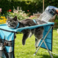 🐱💤 50% KORTING! Verhoogd, ademend, en het klapt in seconden van stevige tafel naar knusse hangmat. Nagels knippen, wassen, drogen – je kat blijft rustig, jij blijft heel.