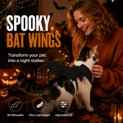 🦇 Halloween vleugels voor katten – 3D, lichtgewicht, perfect voor spooky foto's. Bestel nu!