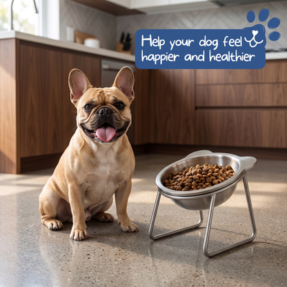 🐕💥 50% KORTING! Stop met schrokken en overgeven! Deze 15° orthopedische voerbak helpt je hond rustiger te eten, vermindert regurgitatie en is gemaakt van SUS304 RVS – vaatwasserbestendig!