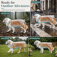 ⛈️ Stormvast & kristalhelder: je hond blijft droog en ziet alles tijdens wandelen